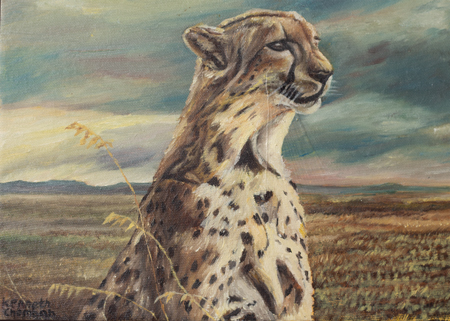 Cheetah Portrait
